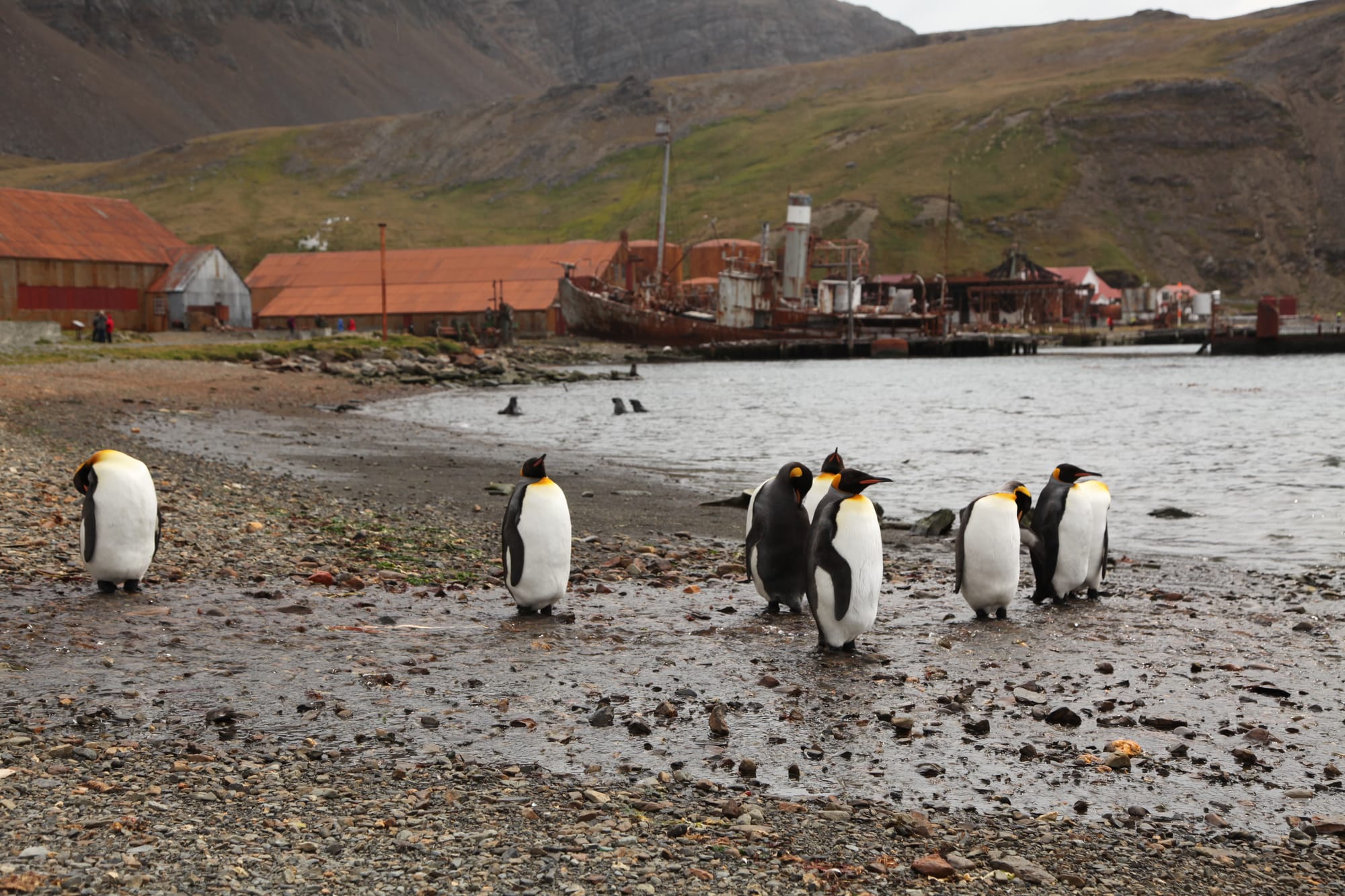 Archeology of the Frontier
