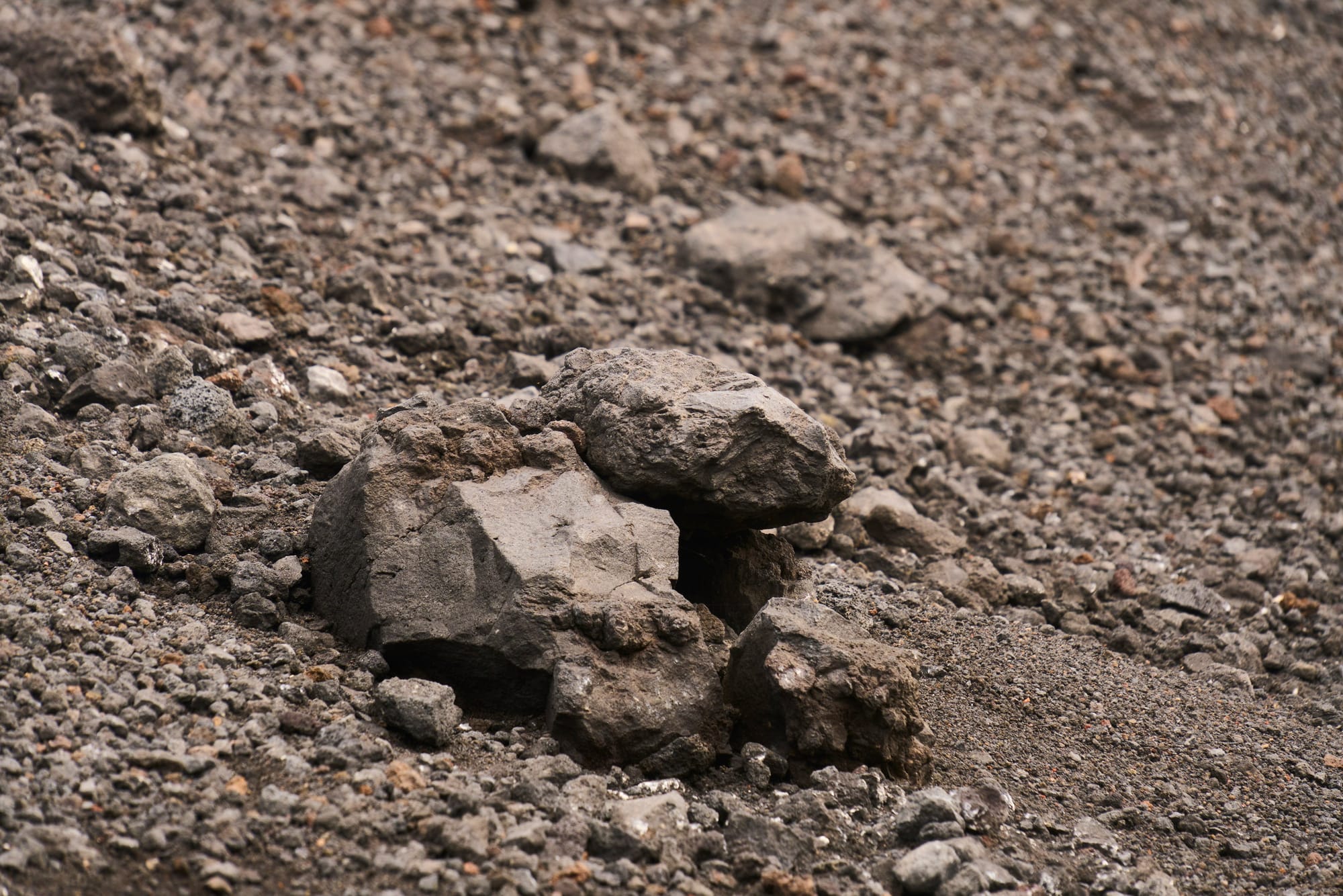 Meaning Without Survival