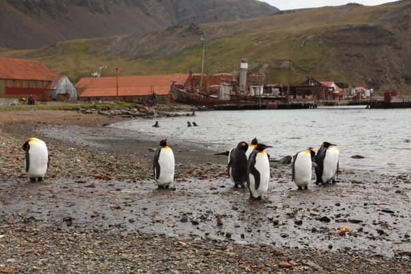 Archeology of the Frontier