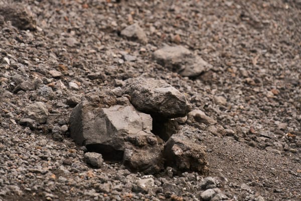 Meaning Without Survival